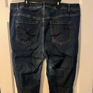 Lane Bryant Genius Fit Skinny Jeans